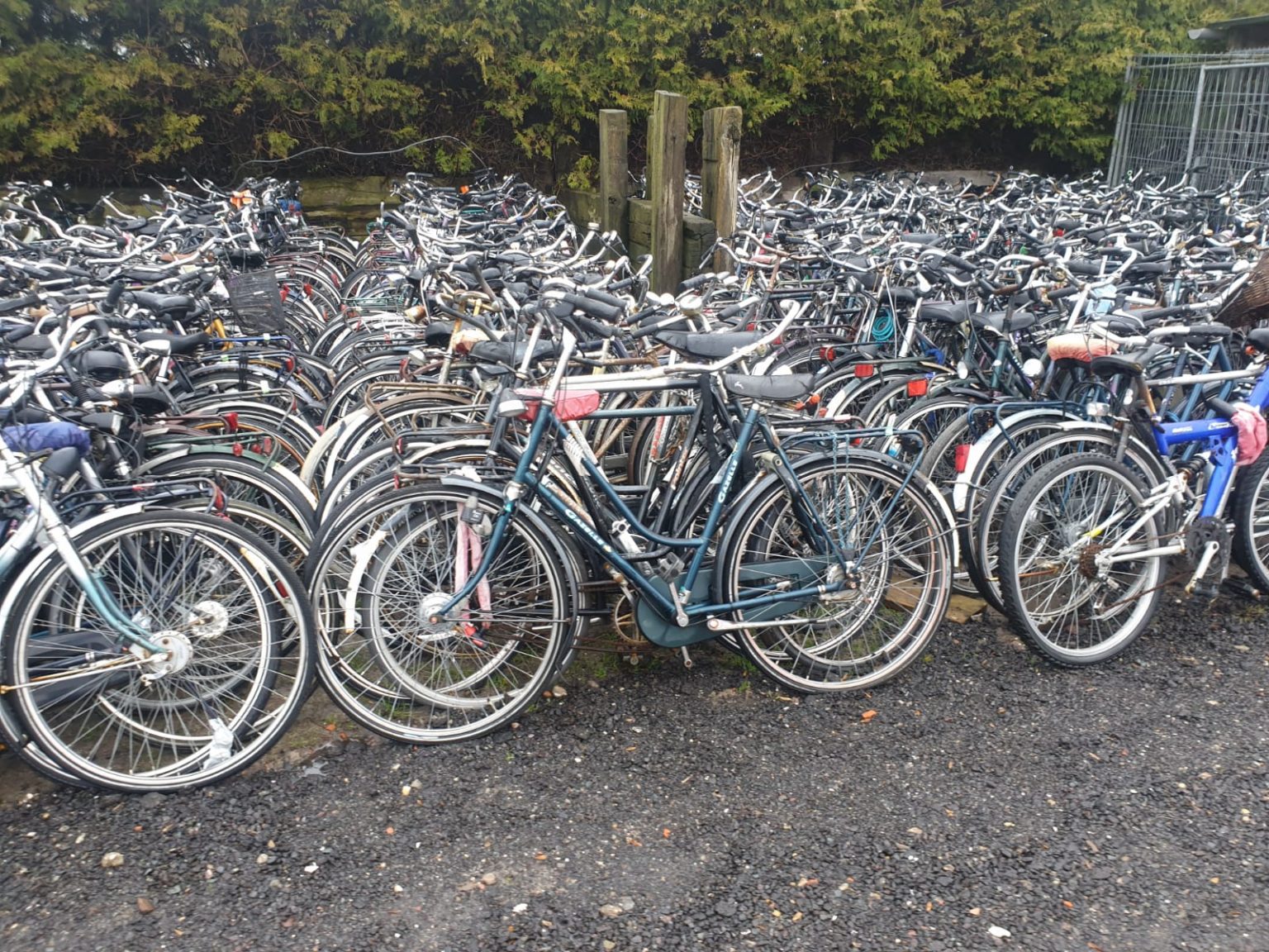 bicicletas baratas en walmart