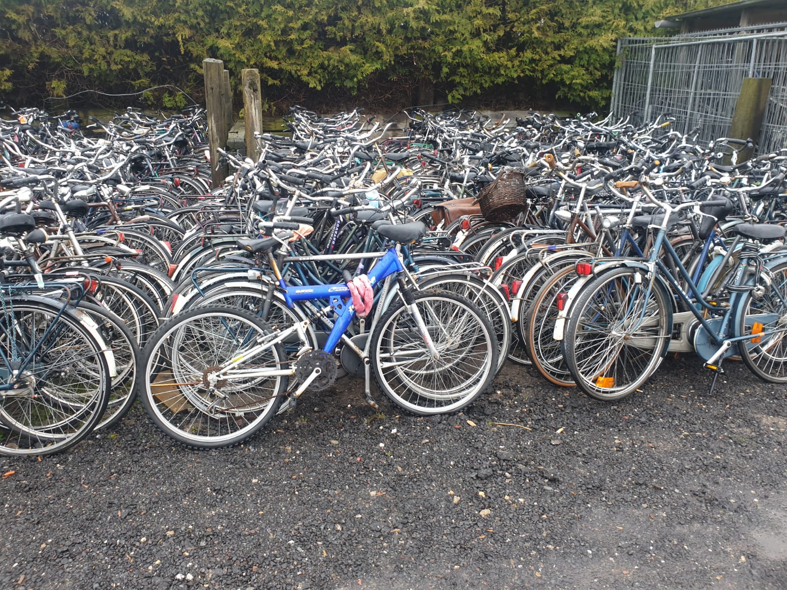 bicyclettes d'occasion bon marché