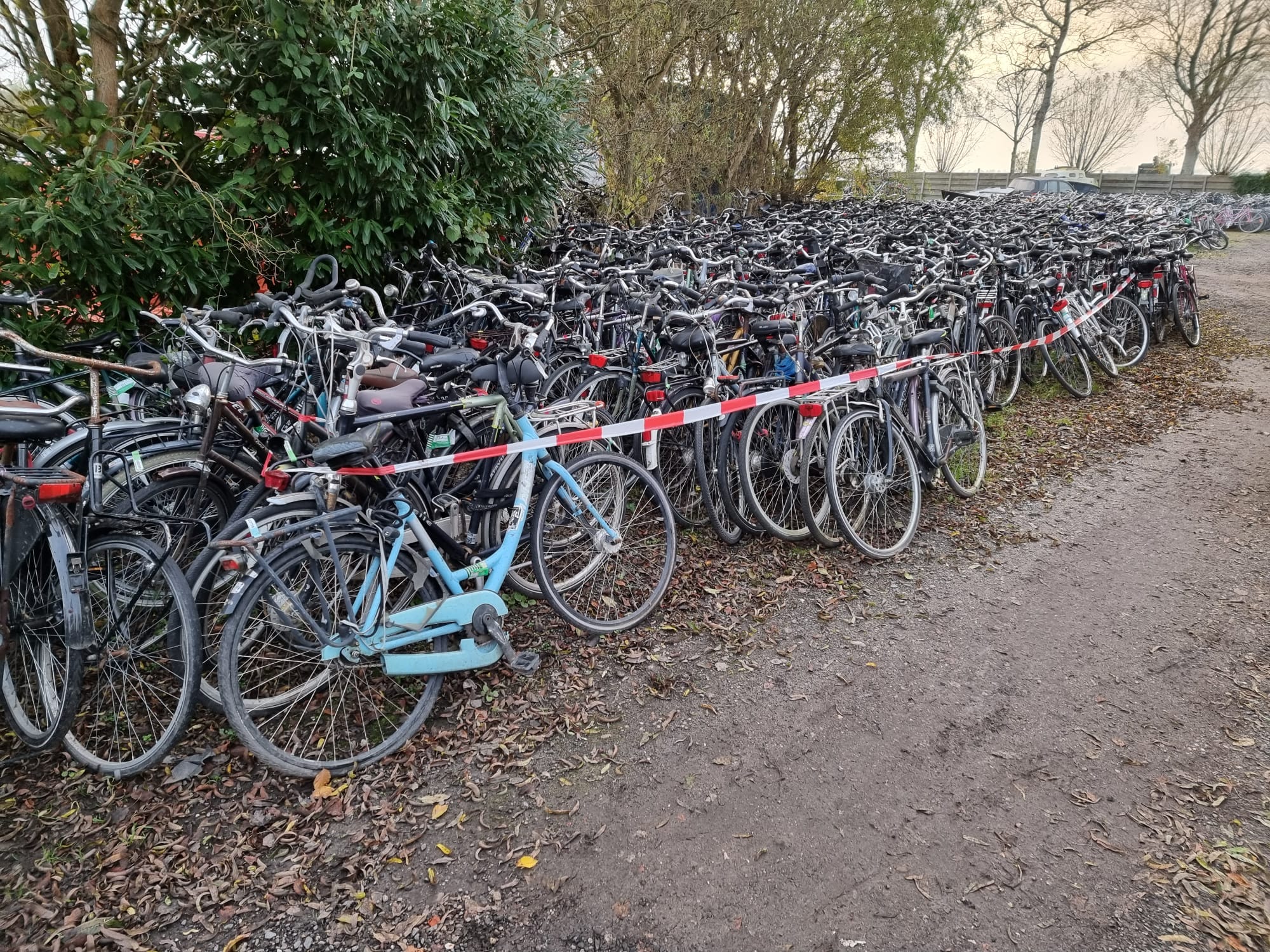 used bicycles