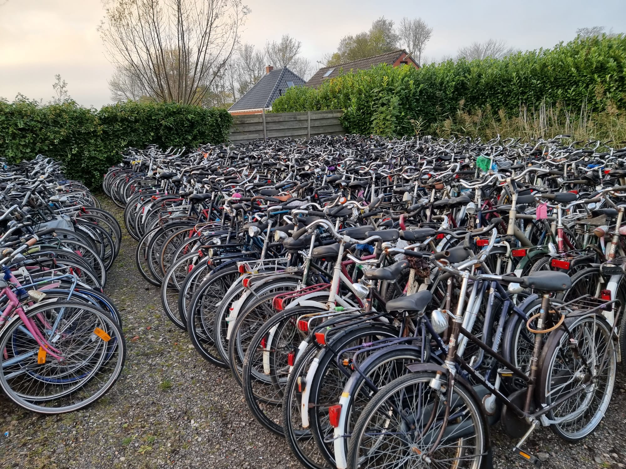 used-bikes-in-lots